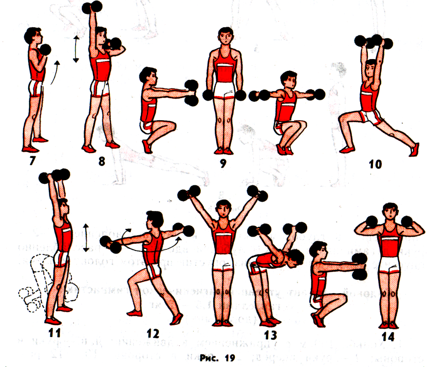 Упражнения с гантелями для детей 8 лет с картинками для начинающих