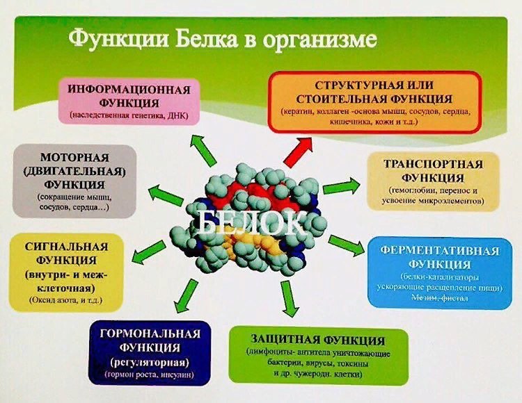 Какие функции выполняют компьютерные рабочие места в исо орион