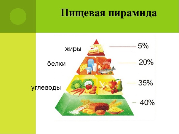 Почему пищевые белки жиры и углеводы распадаются на более простые соединения составьте схему