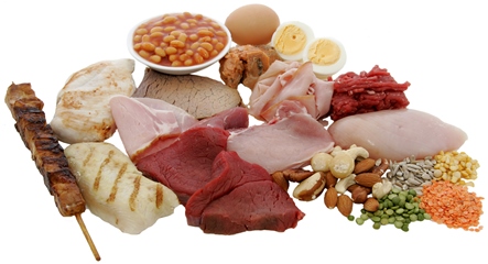 роль белка в питании